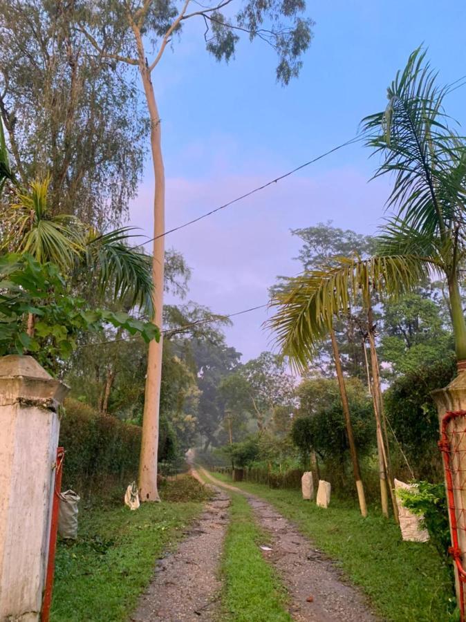 Nahorjan Tea Homestay Bokakhat Exterior photo